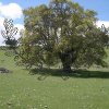 DSCN4647.JPG255B1255D