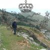 jaen29037